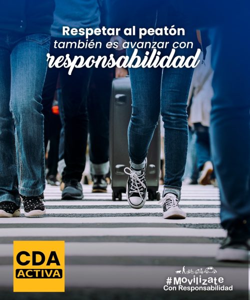 WhatsApp Image 2025-08-15 at 7.55.49 PM